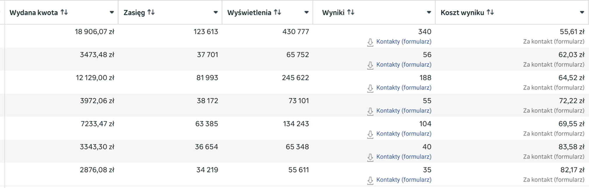 Zrzut ekranu z Menedżera reklam · wyniki kampanii Bigly